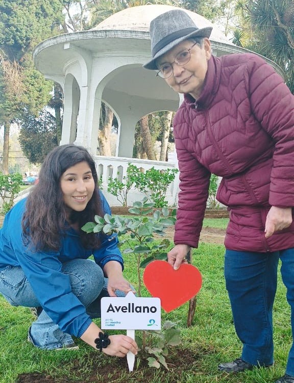 Vecinos de Freire ejecutaron proyecto de arborización con recursos del Fondo Concursable